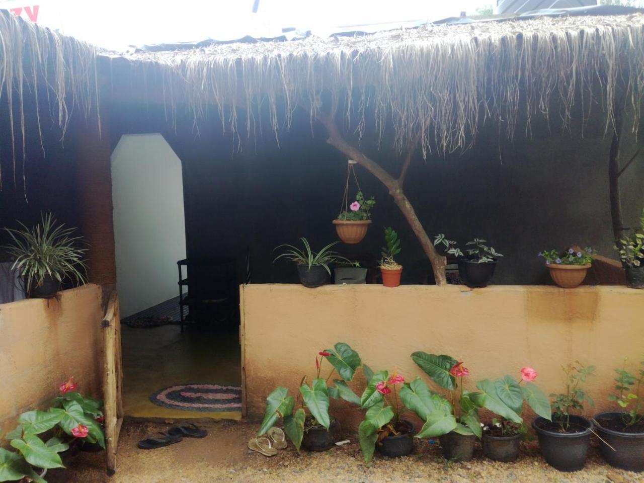 Cozy Homestay Ела Екстериор снимка